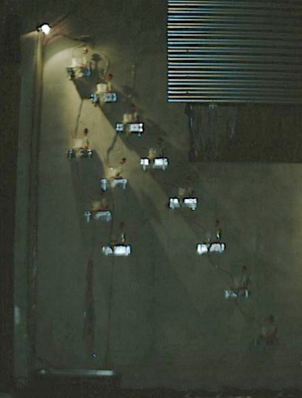 drinking birds &copy 1999 cristin pescosolido