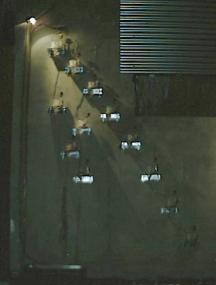 drinking birds &copy 1999 cristin pescosolido